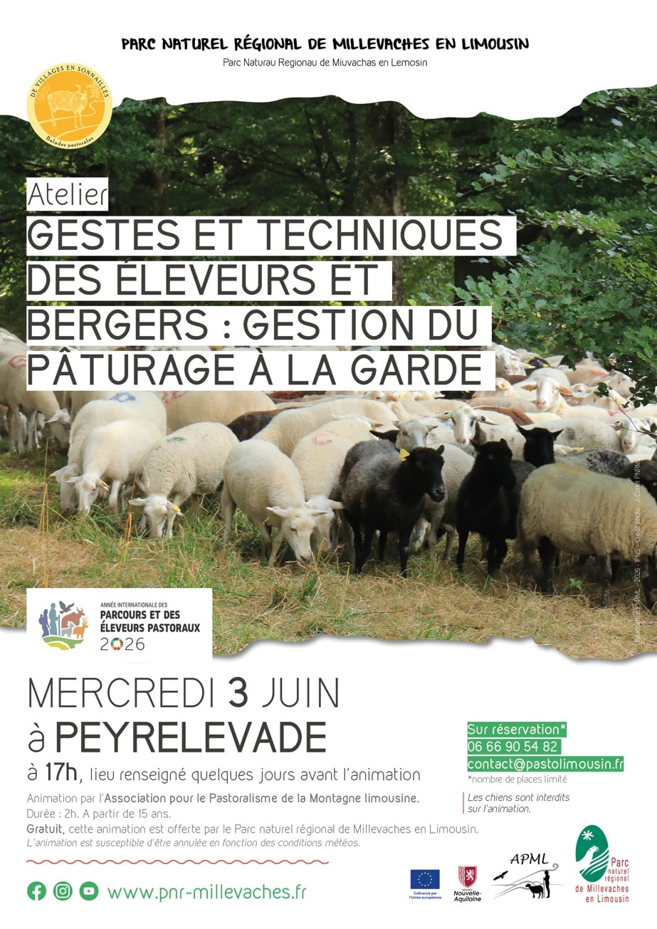Gestes et techniques des éleveurs et bergers : gestion du pâturage à la garde