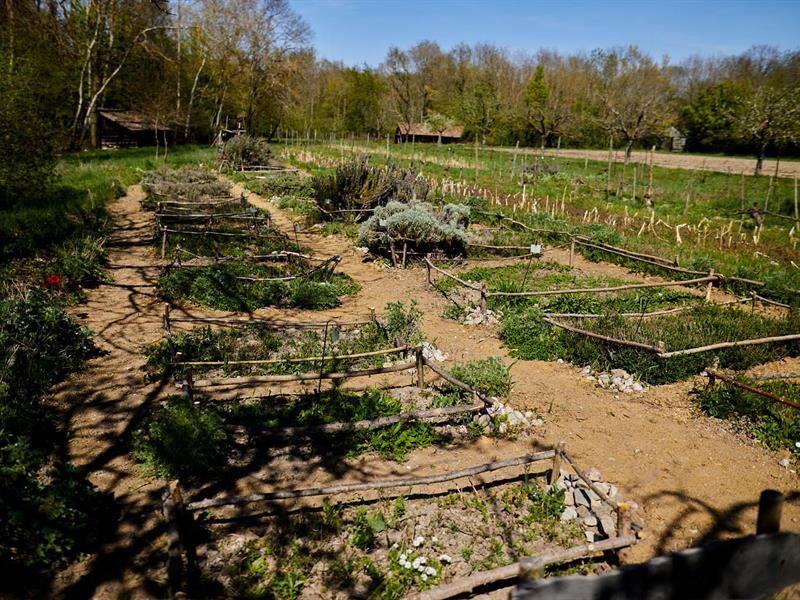Rendez-vous nature : À la découverte de la nature