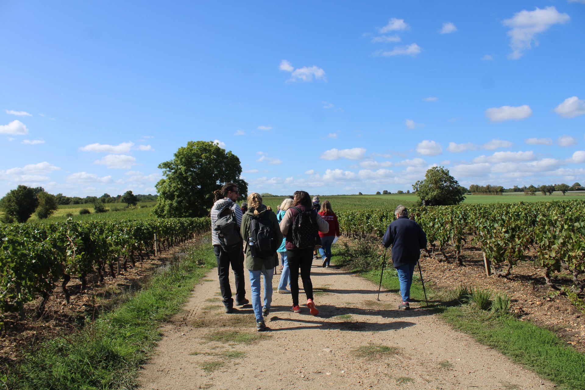 Balade-dégustation "It's wine time" au Domaine Poupat & Fils