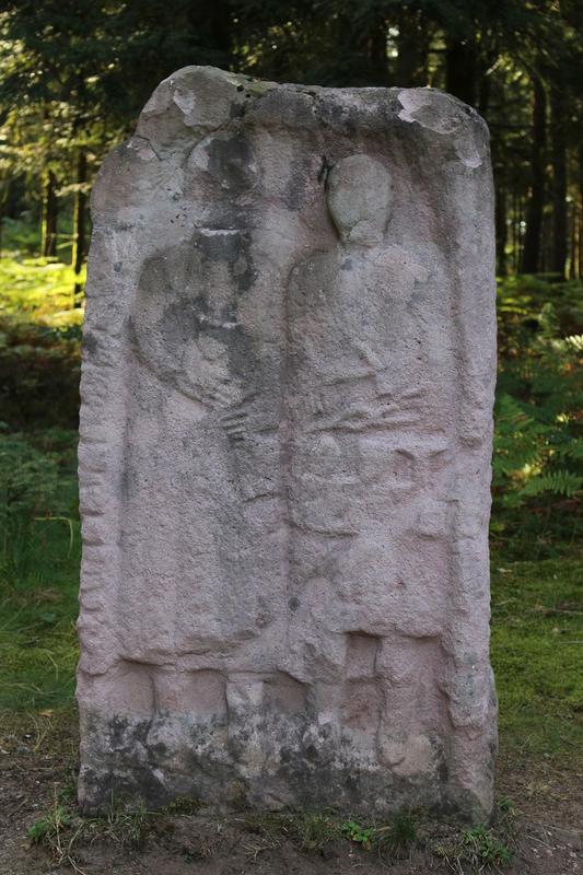 Visite guidée : le Camp celtique de la Bure