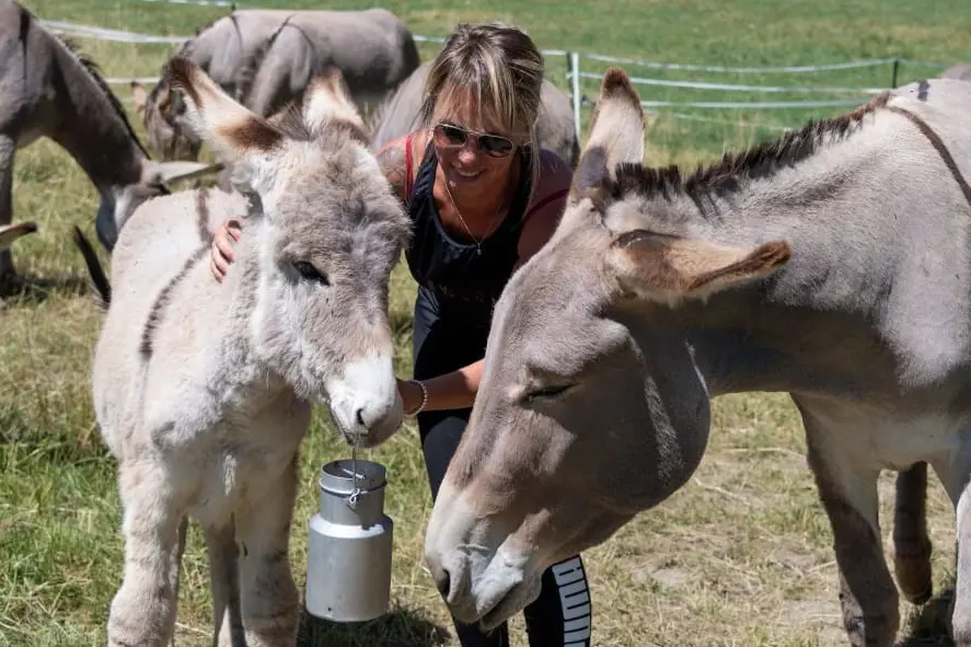 Journées du patrimoine de Pays : tour et détour