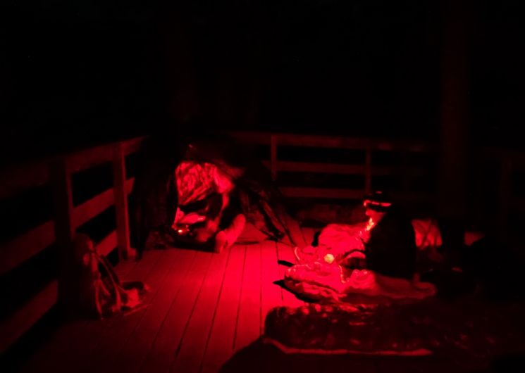 NUIT DU BRAME DU CERF