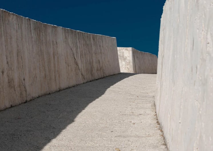 Exposition «Metamorphosis»
