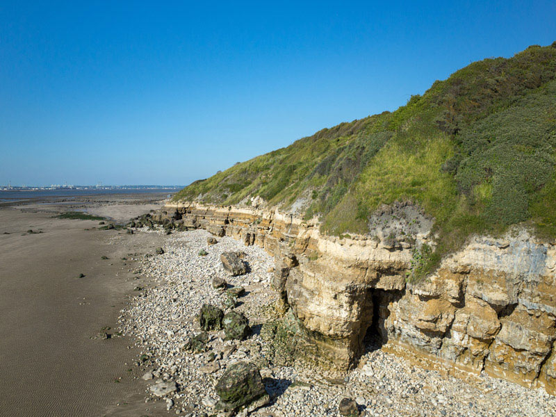 Les détectives naturalistes au falaises des Roches Noires