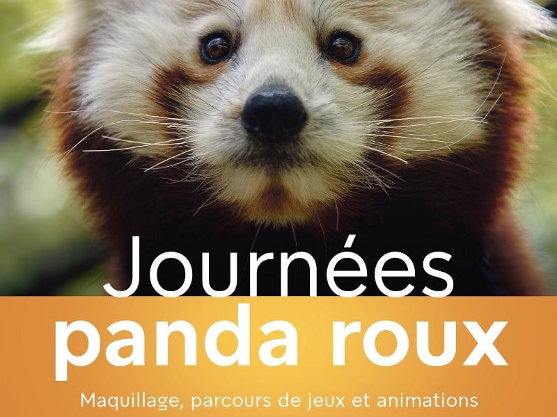 Journées Panda Roux