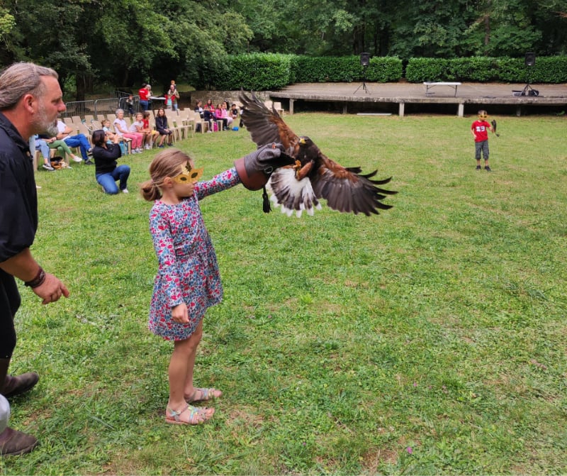 Les apprentis fauconniers