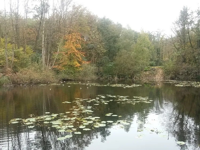 À la découverte des zones humides