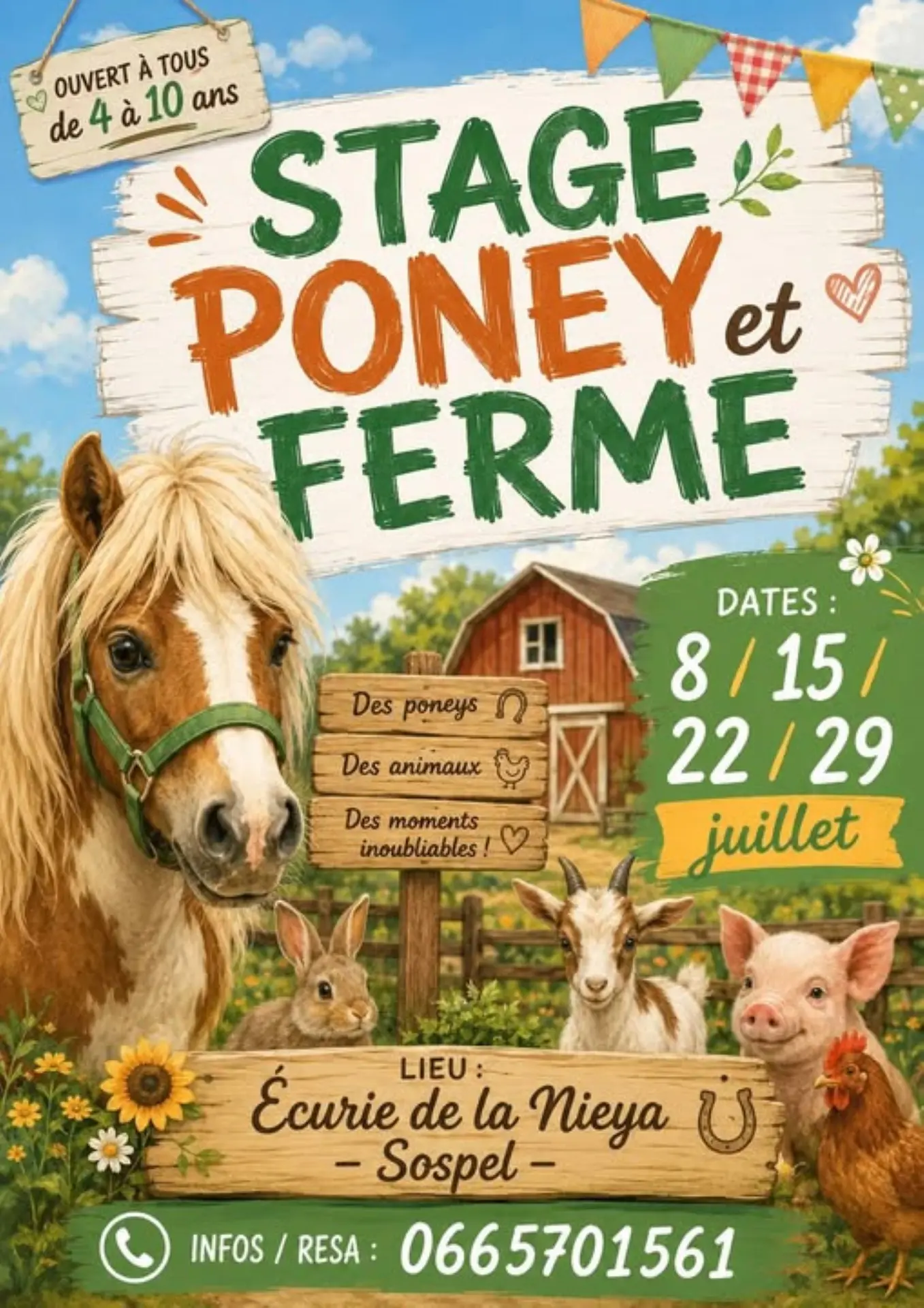 Stage poney et ferme