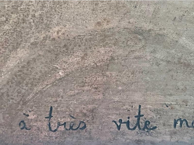 Exposition "A très vite mon Adelphe"