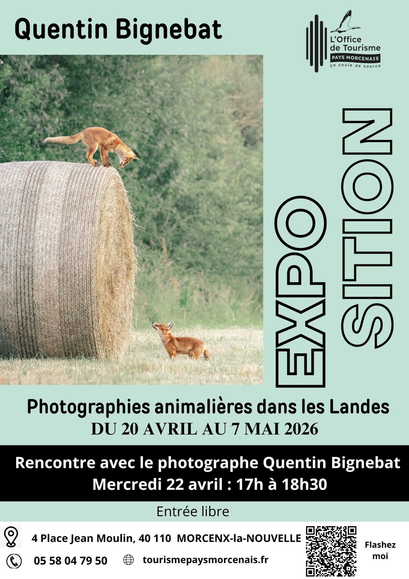 Quentin Bignebat - Photos Animalières des Landes