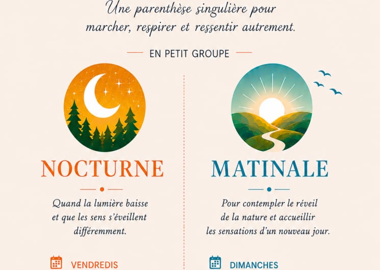 Les marches immersives de l’été – Les Matinales