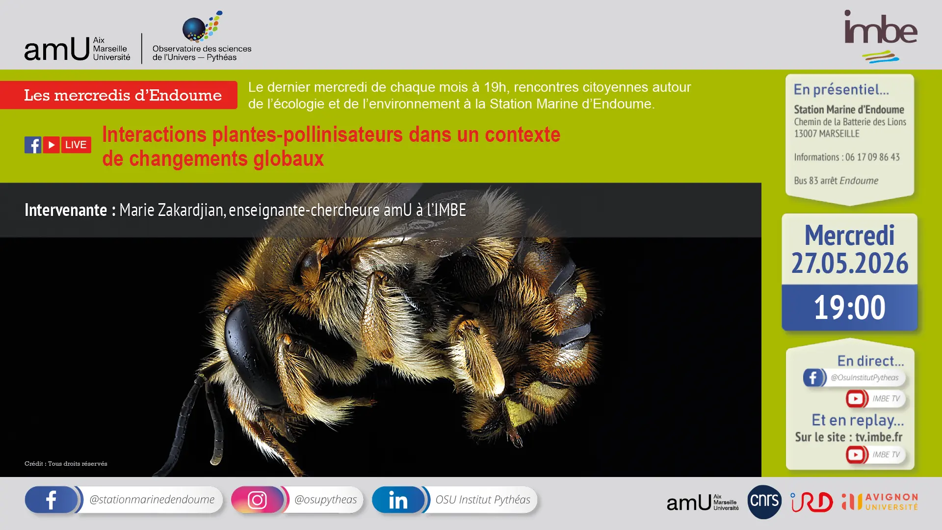 Interactions plantes-pollinisateurs dans un contexte de changements globaux