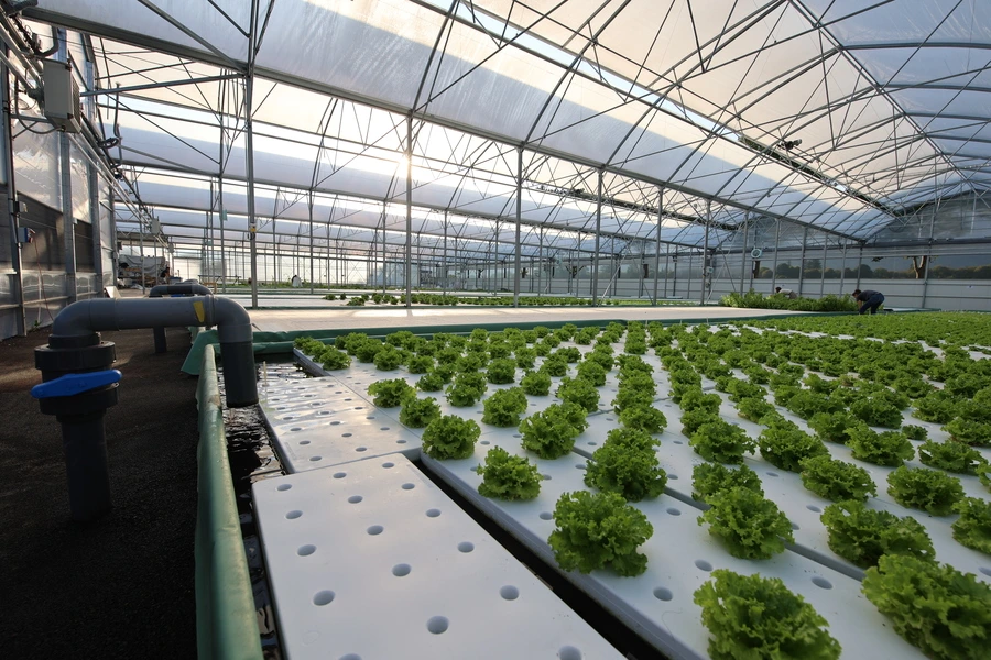 Visite de la ferme Intégrale