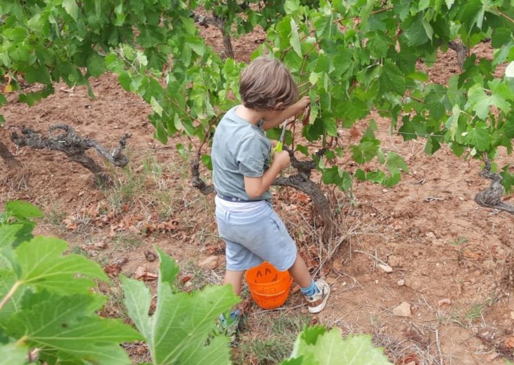 DE FERME EN FERME – NARBONNAIS, CORBIERES-MINERVOIS – CHÂTEAU DE SAINT ESTÈVE