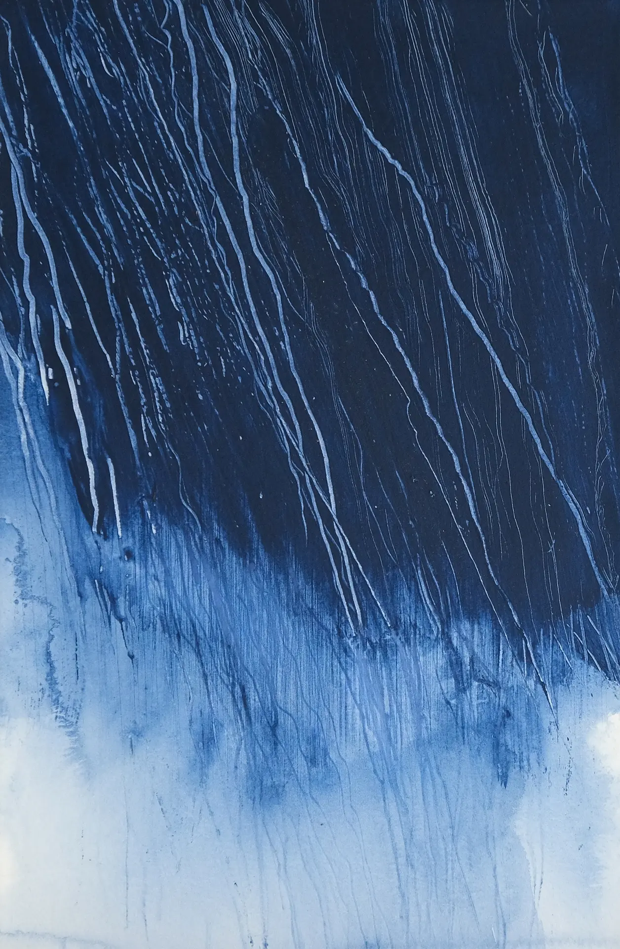 Expositions La Maison de Brian