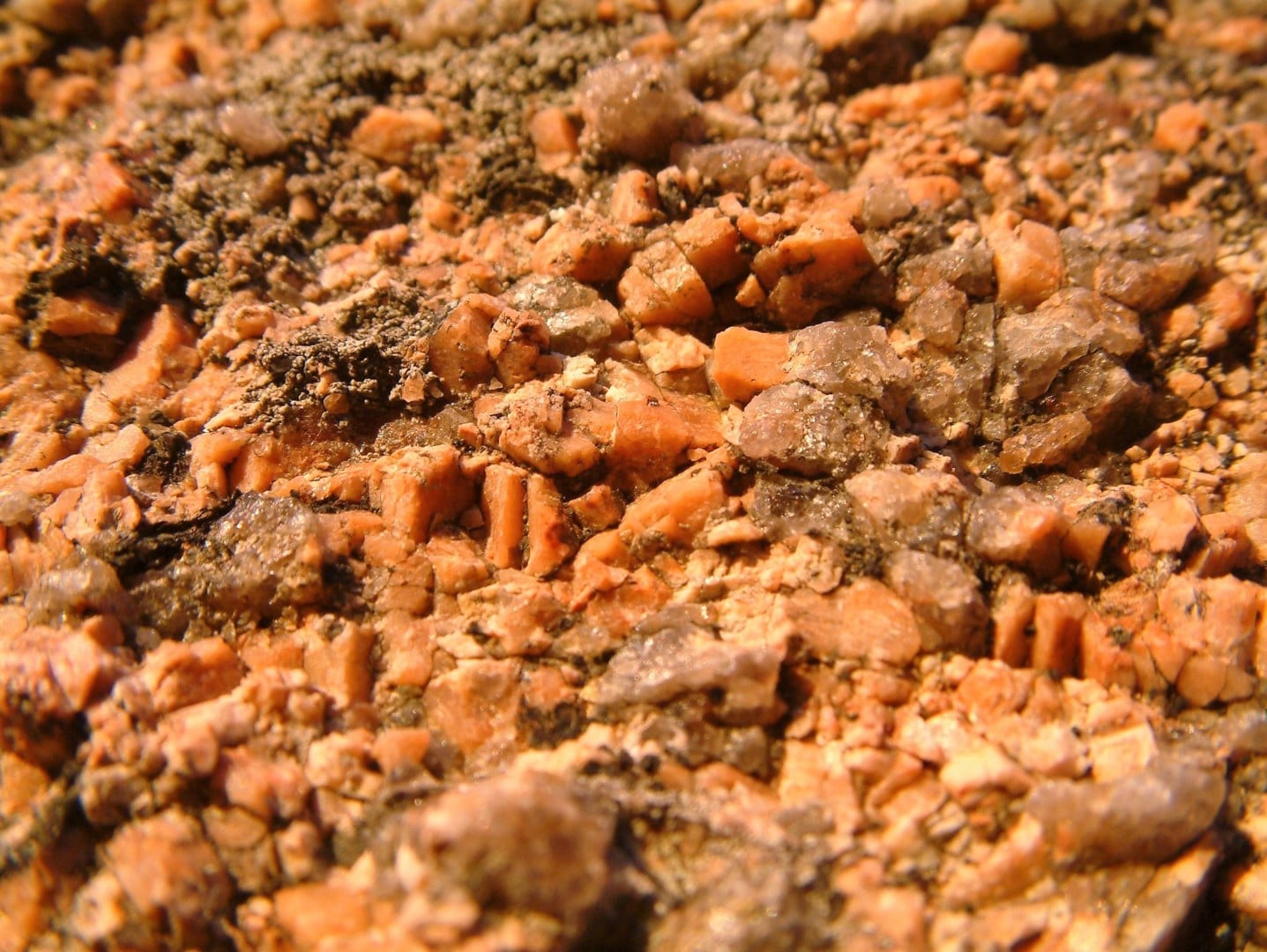 Rencontre avec les géologues