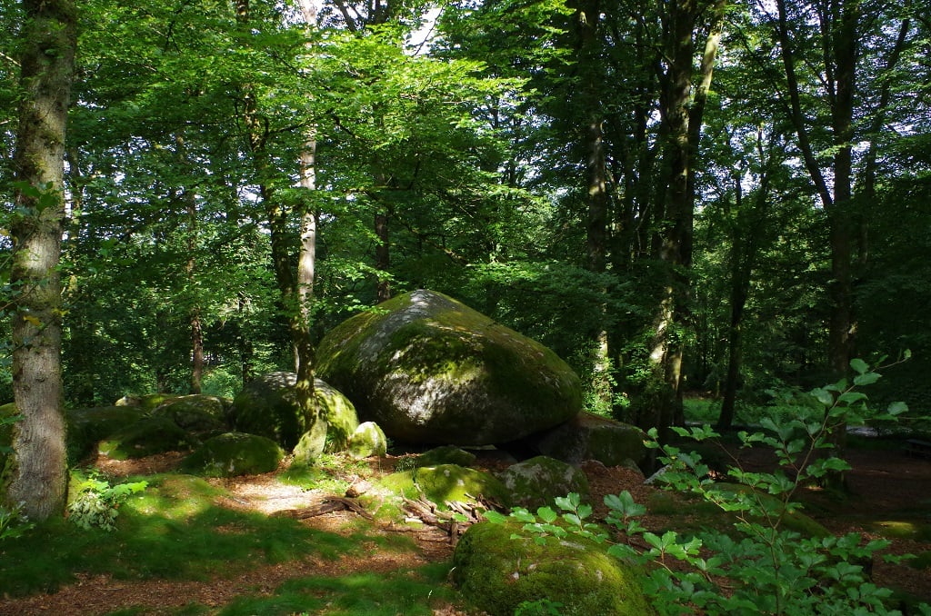 Sortilèges de la pleine lune : "Les Pierres à Légendes de Chabrières"