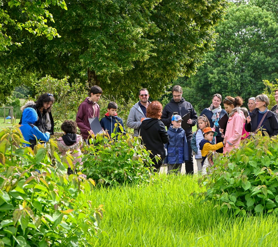 Un jardin, une couleur #1