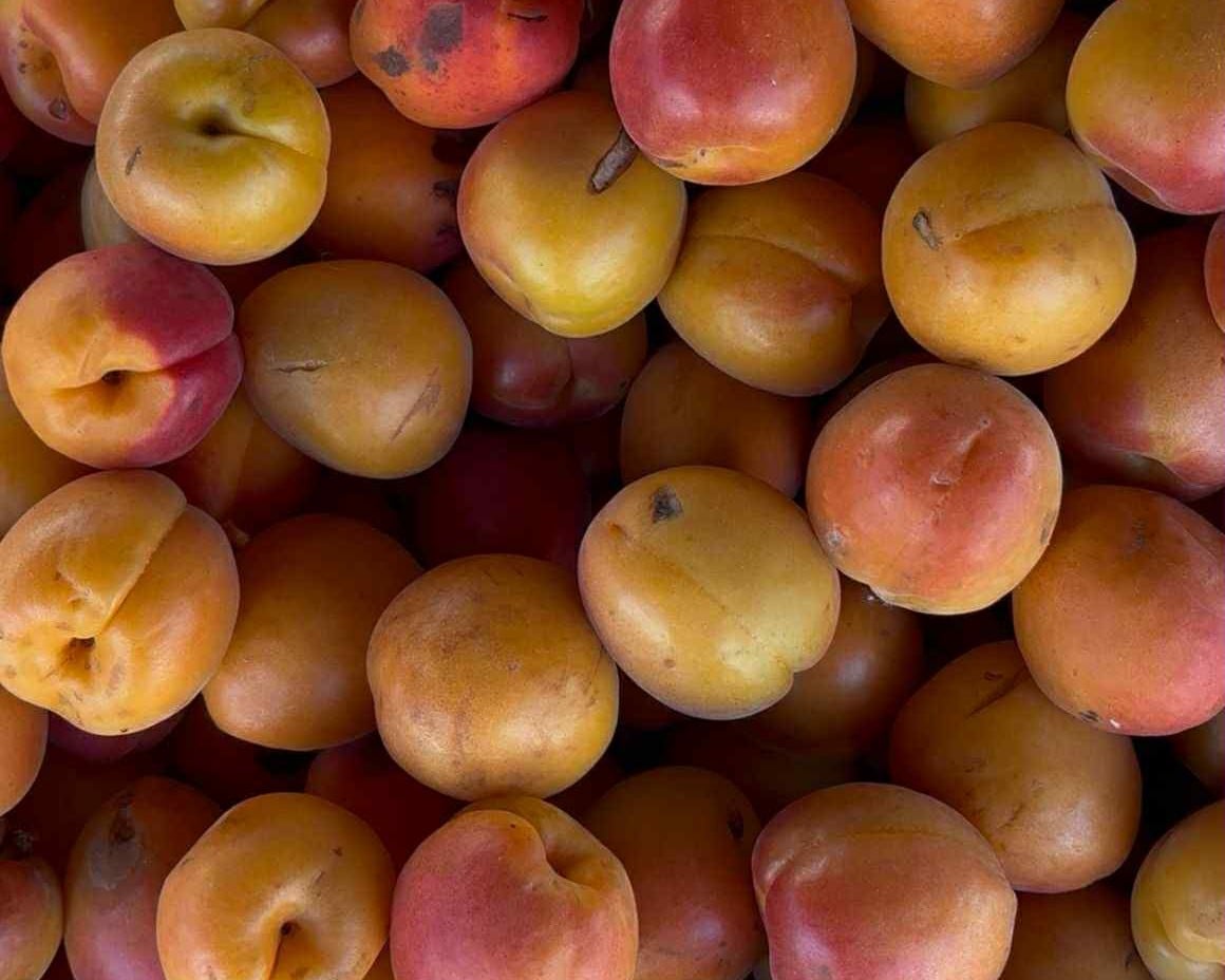 Marché de Sully-sur-Loire - Lundi