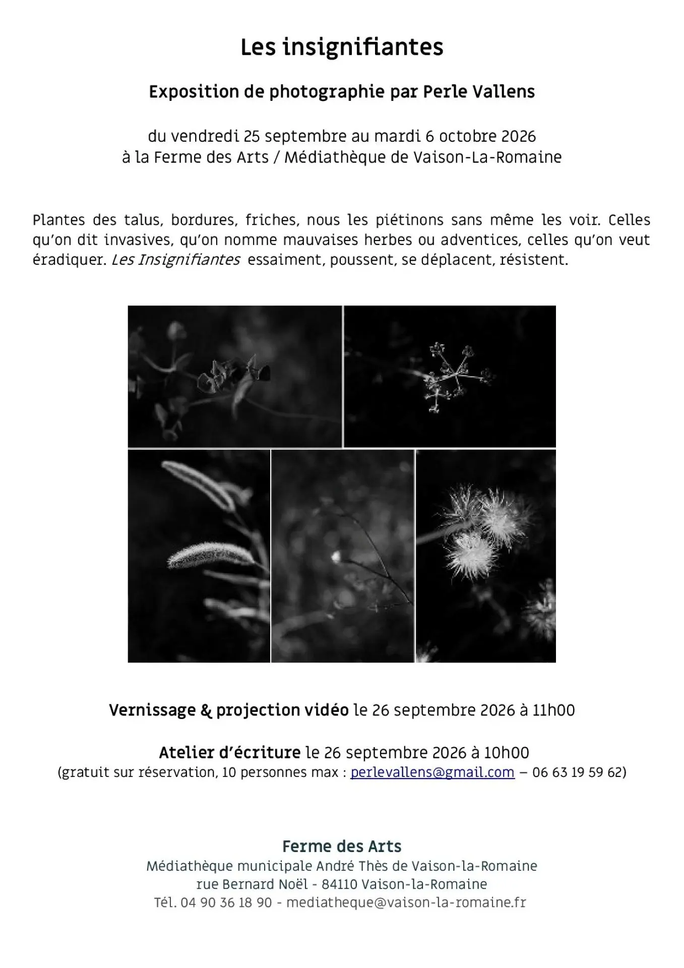 Exposition photographique - Insignifiantes