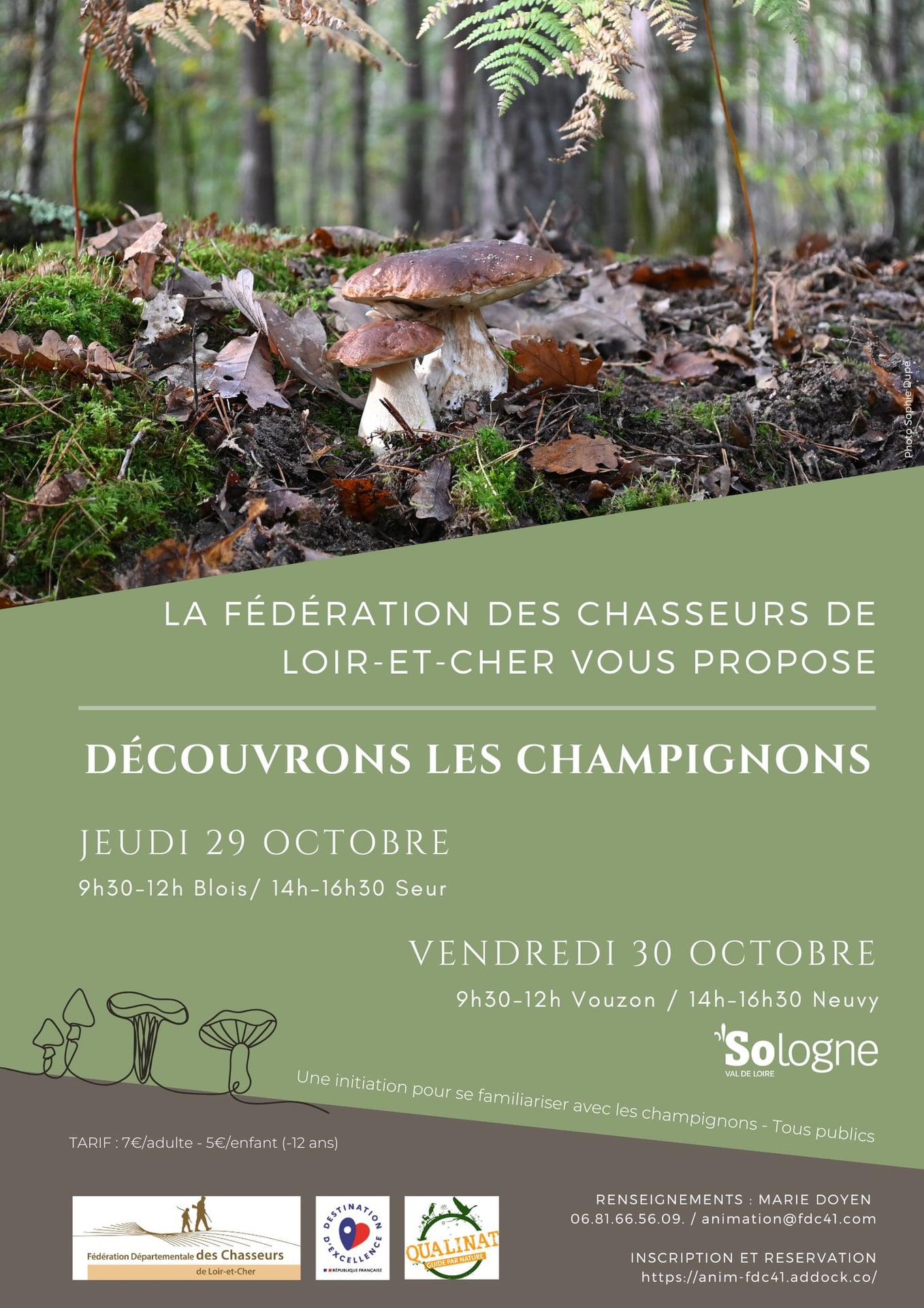 Instants Nature - Découvrons les champignons à Seur