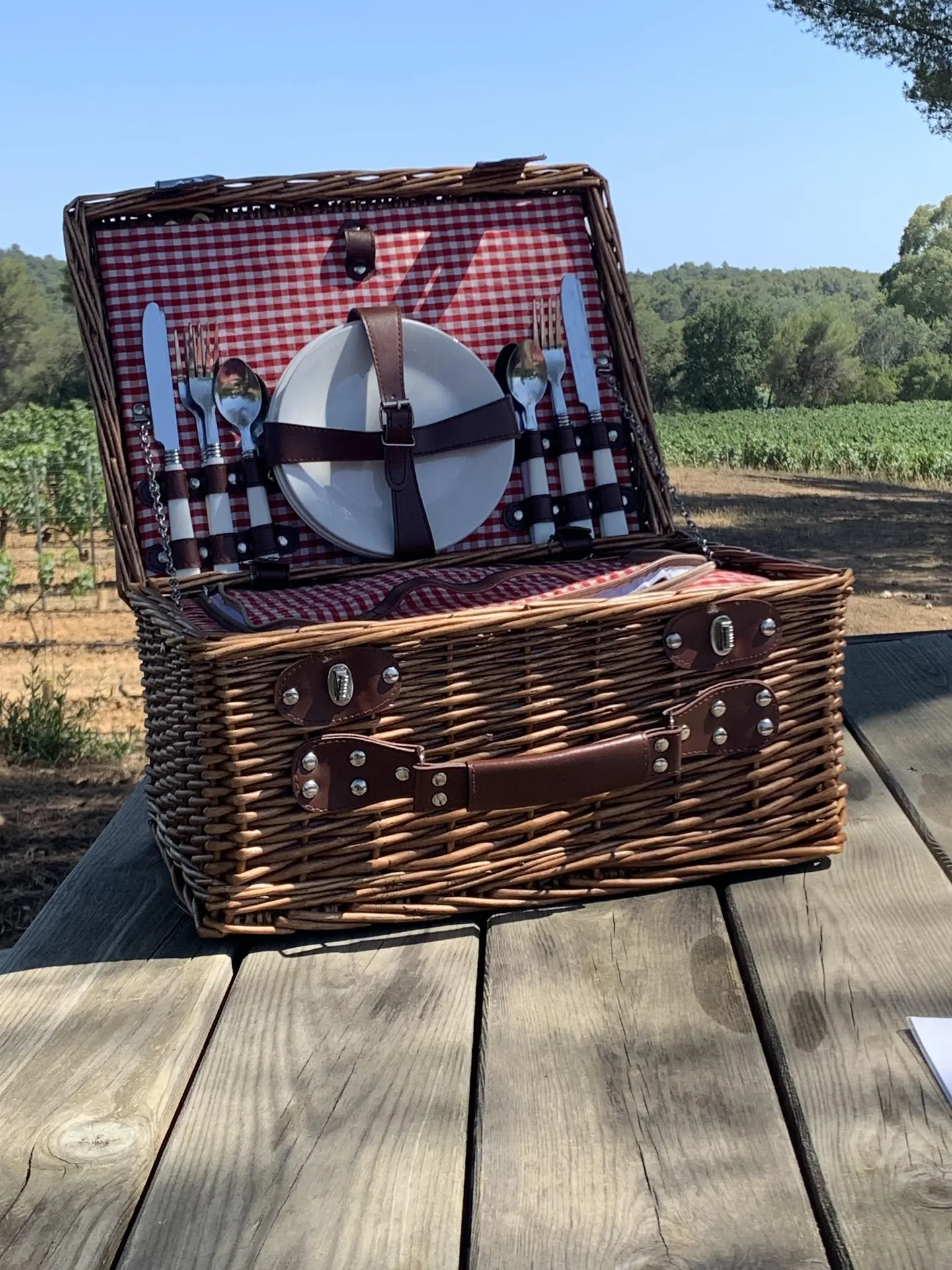 Vignes, saveurs et pétanque à Figuière