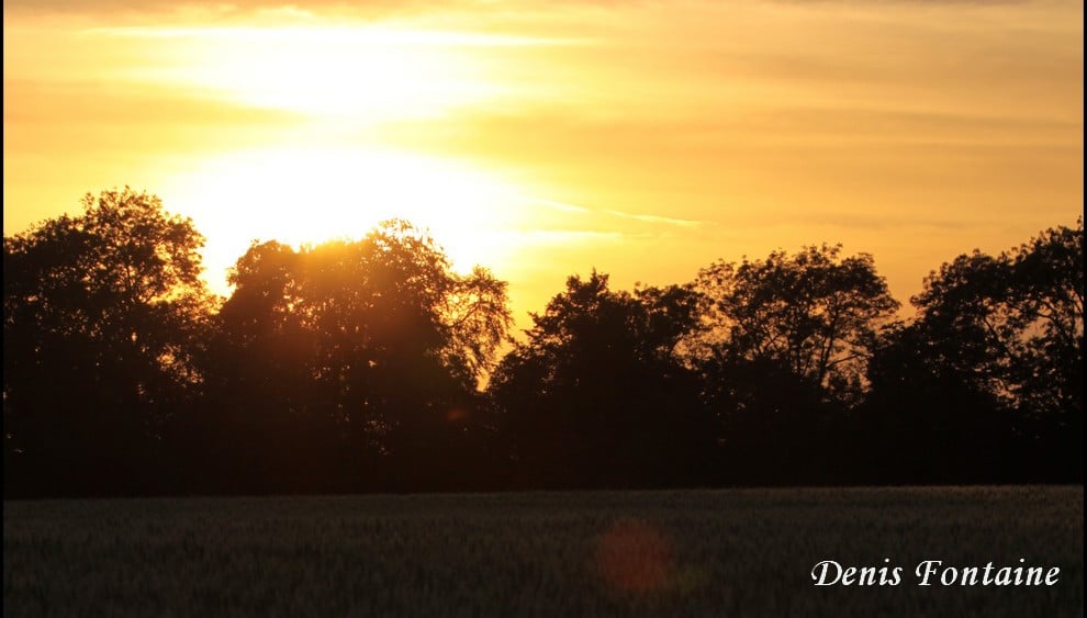 Crépuscule en Retz