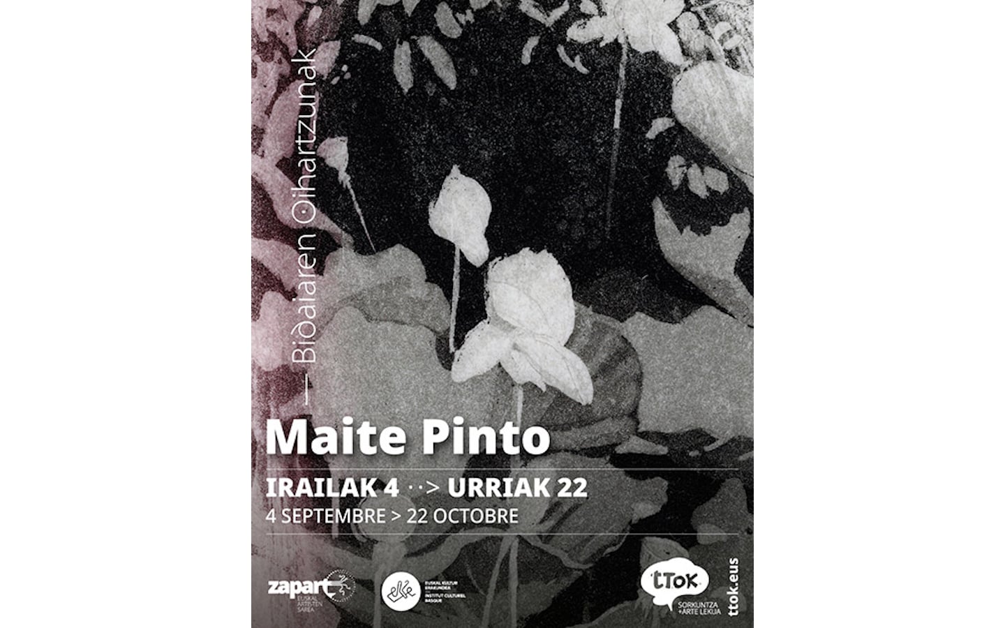 Exposition de Maïté PINTO "Bidaiaren oihartzunak" - "Echos de voyage"