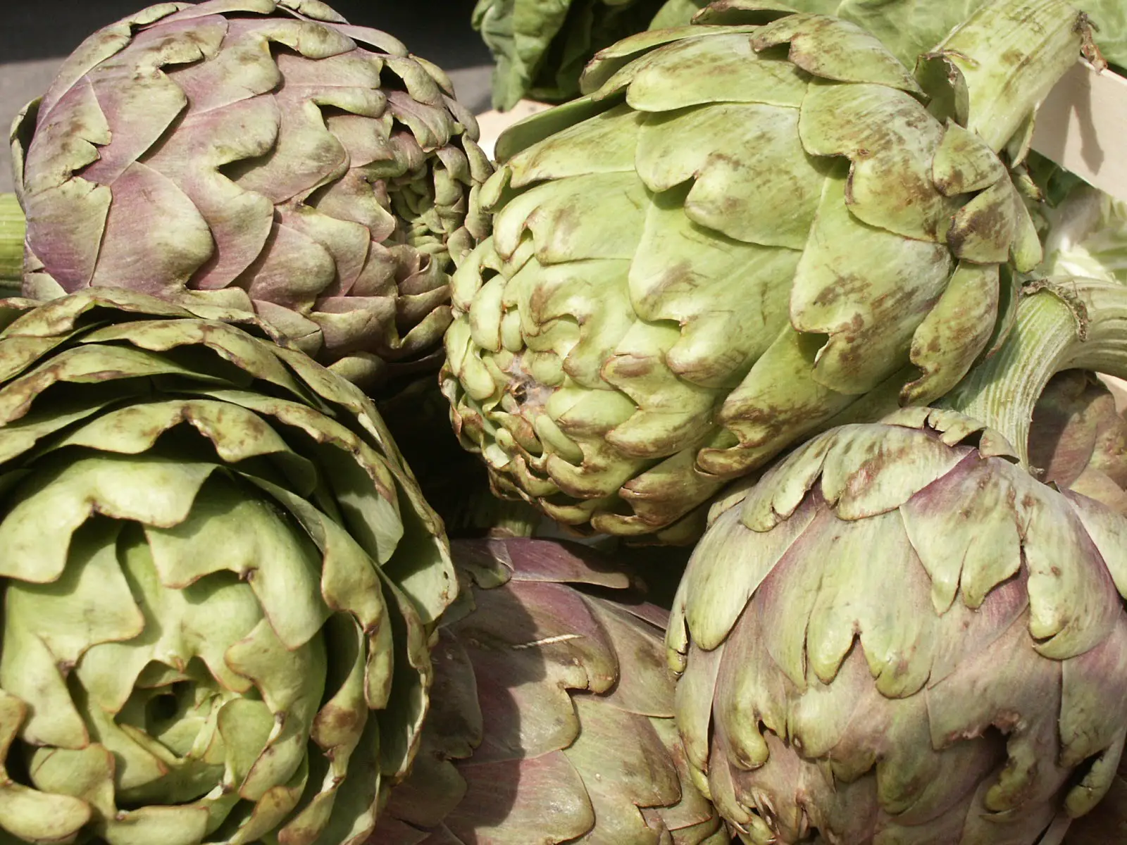 Petit marché traditionnel