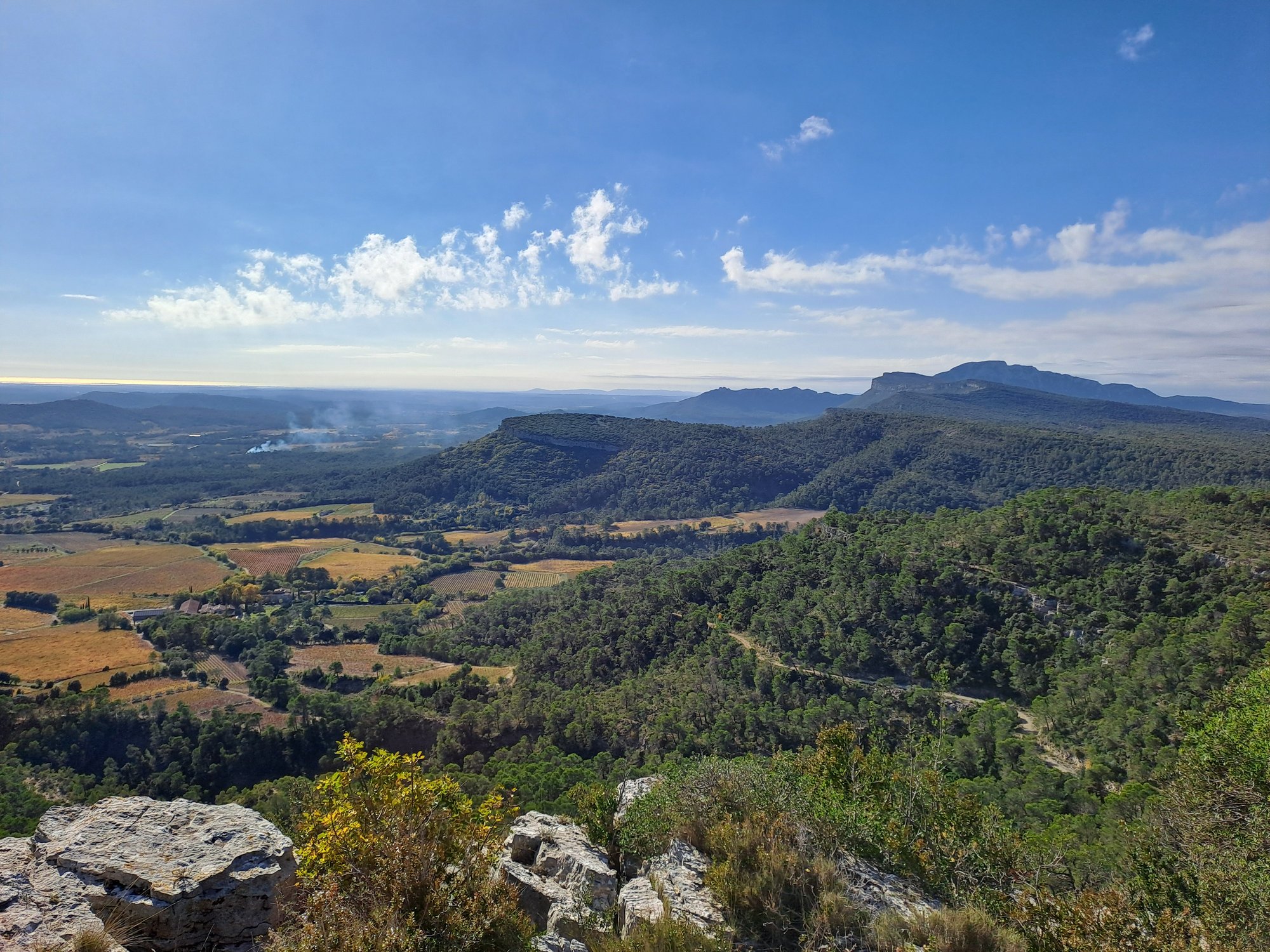 PORTRAIT D'UN PAYSAGE