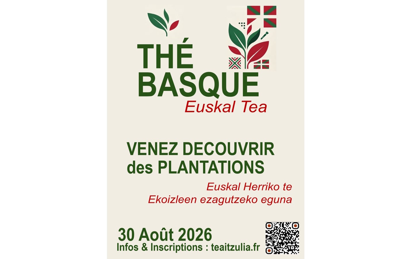 À la découverte des producteurs de thé basque à Macaye
