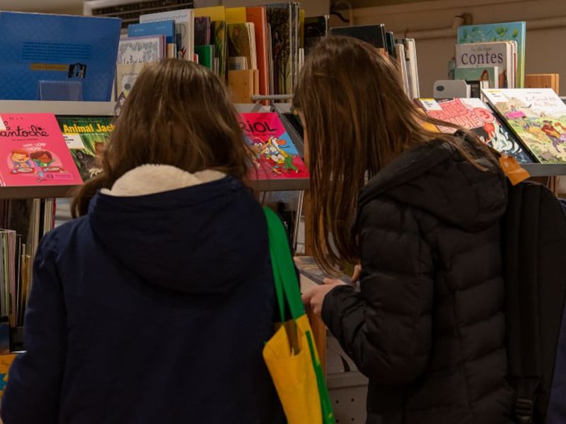 Animations à la bibliothèque du Panier Maison  Diamantée  en mars et avril