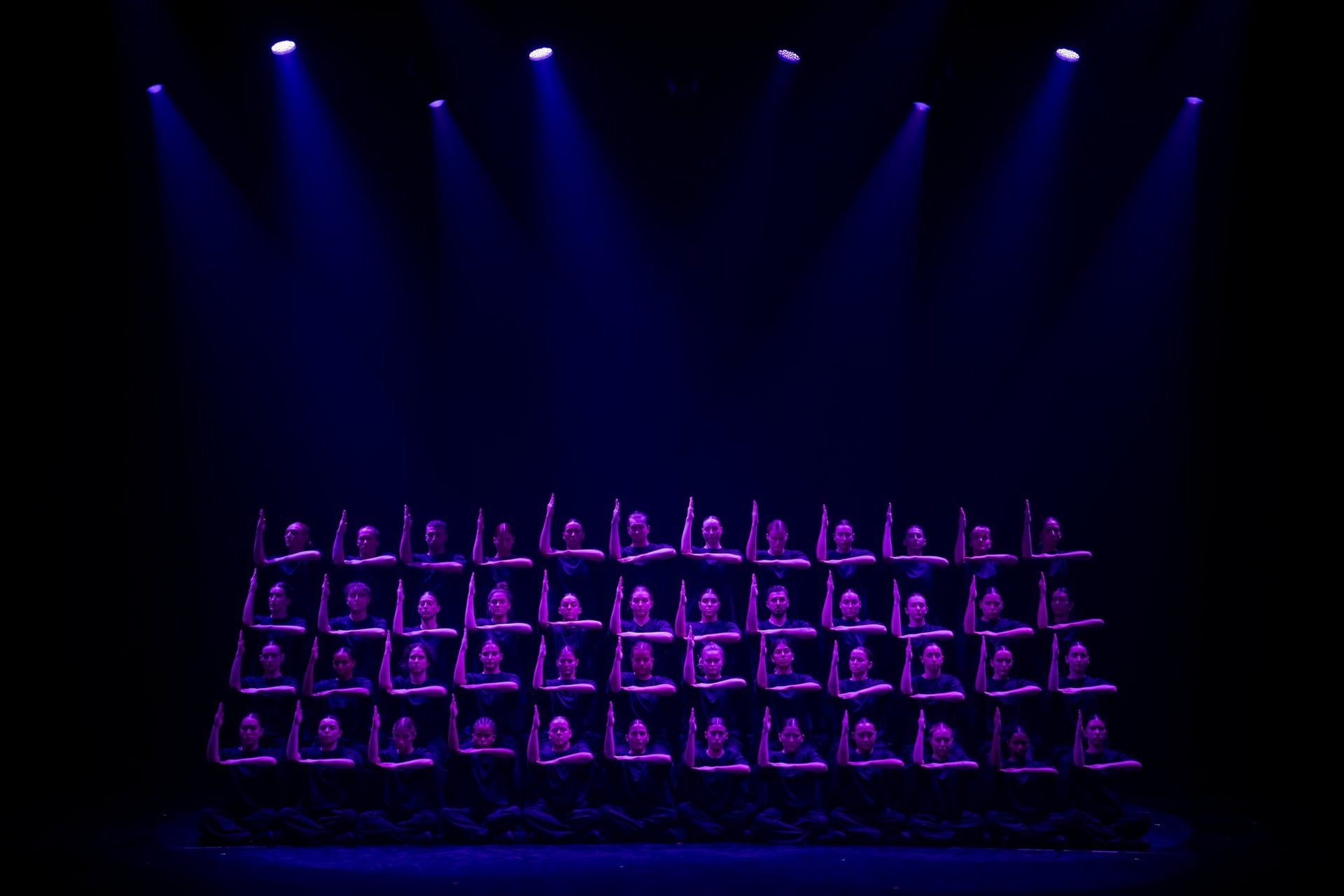 Danse : "Murmuration" Sadeck Berrabah