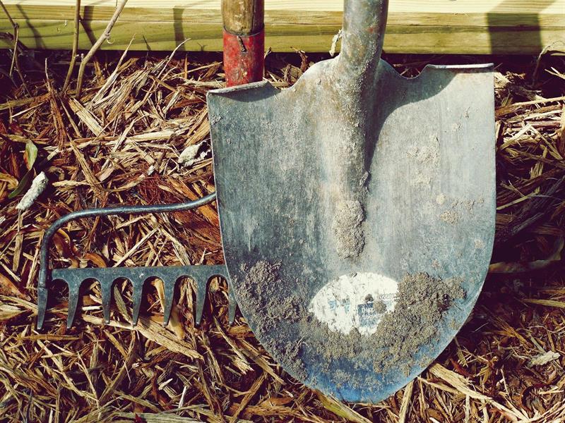 Chantier nature participatif