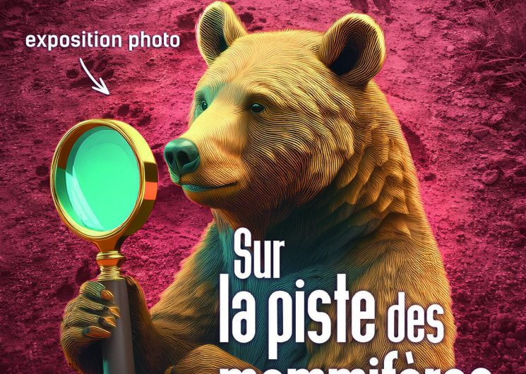Exposition temporaire Museum Victor Brun – Sur la piste des mammifères