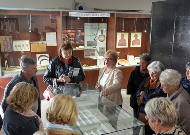 MUSÉE GALLO-ROMAIN VILLA-LOUPIAN — EXPOSITION ARCHÉO-SEXISME ET MOSAÏQUE