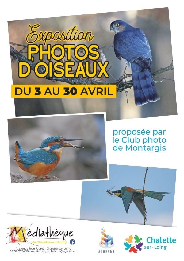 Exposition photos d’oiseaux