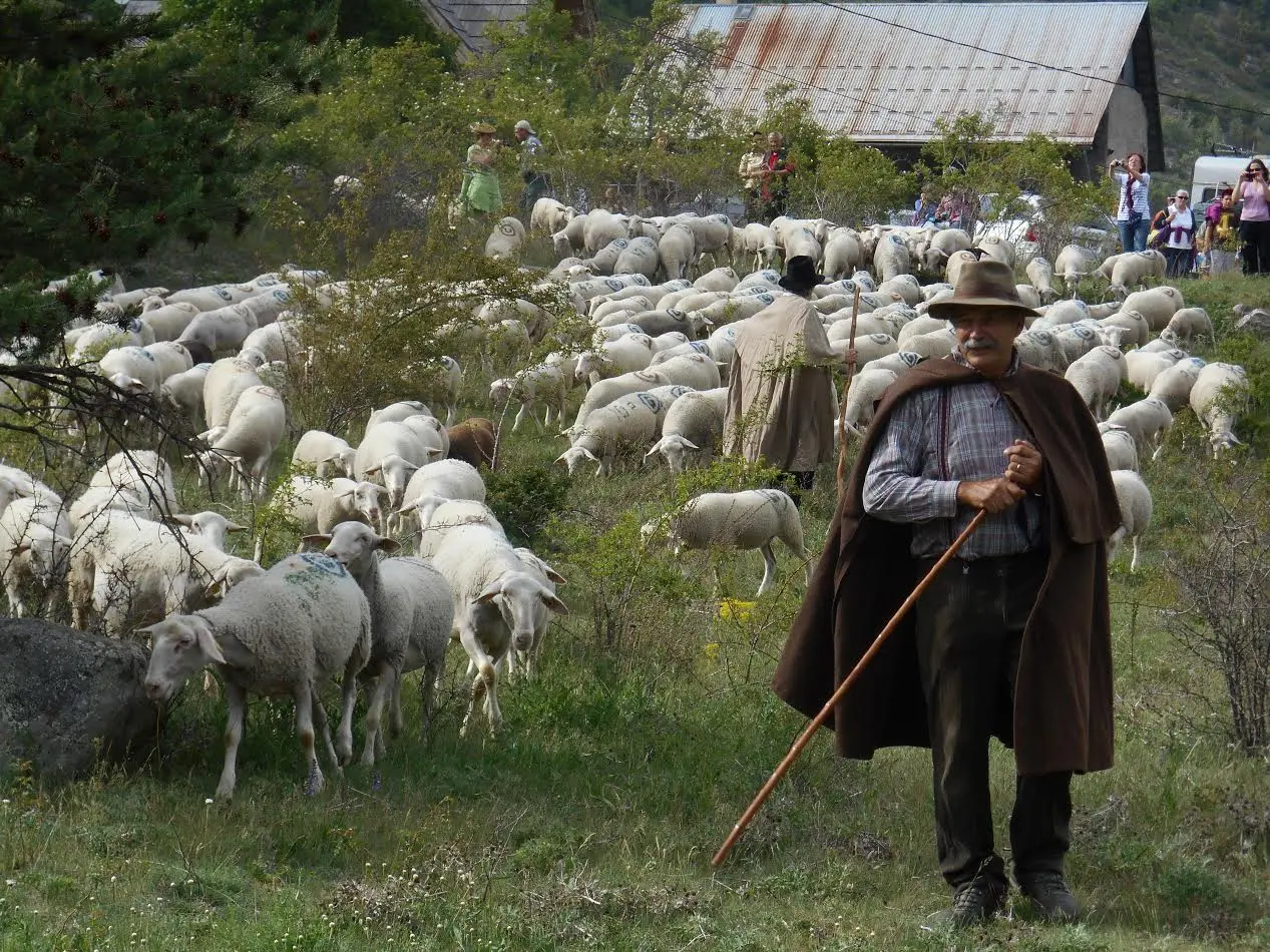Journée en alpage de juillet