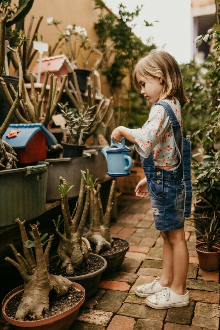 Atelier parent-enfant : l'eau au jardin