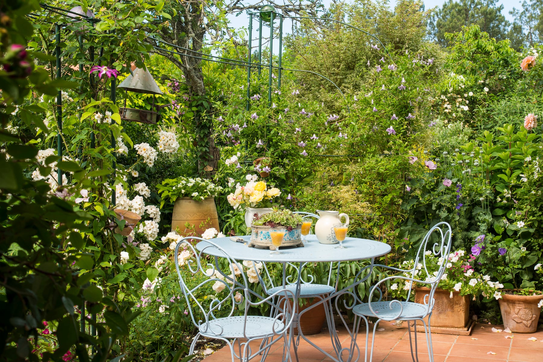 Rendez vous aux jardins : Visite guidée "Le jardin de Michel et Jacqueline"