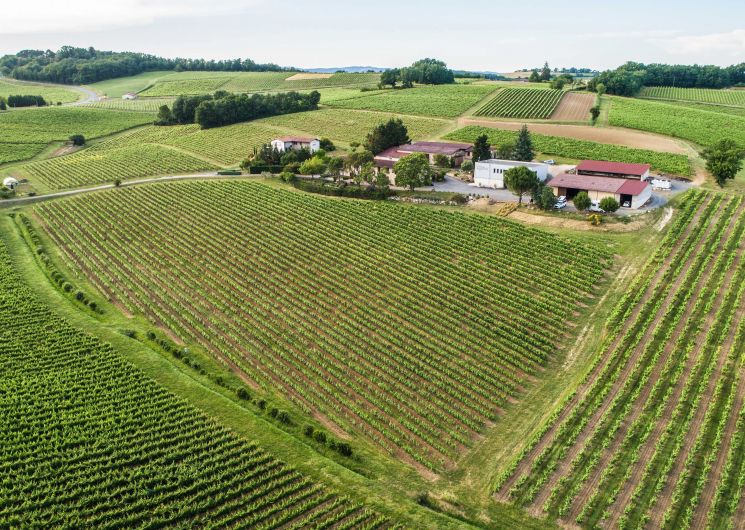 Visite « Ce que nos vignes ont à vous raconter… » au Domaine Vayssette