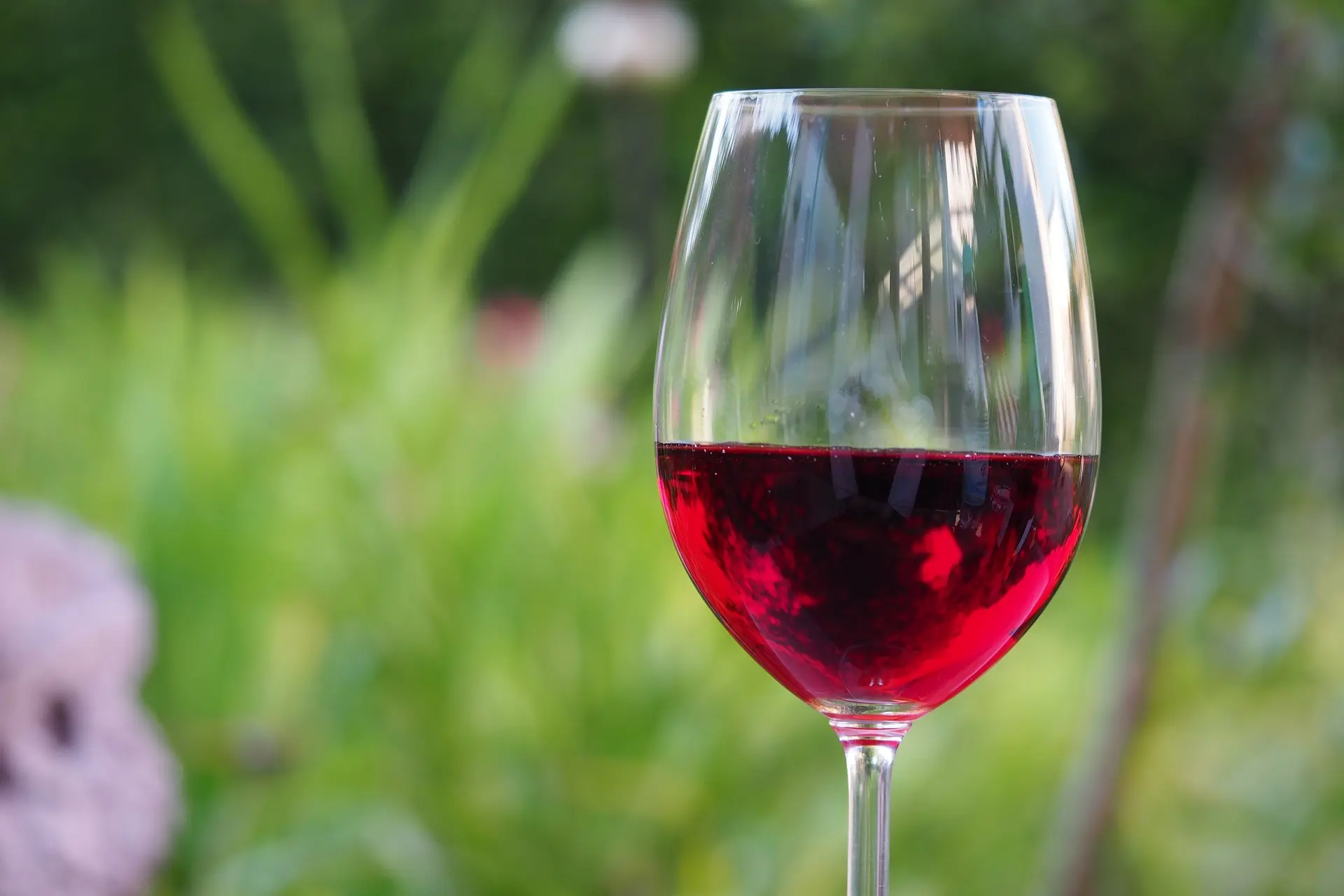 Les vins de Ramatuelle en fête
