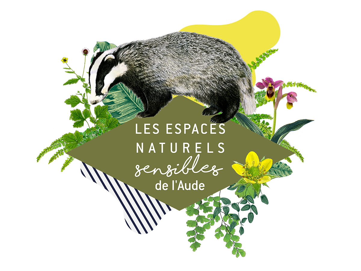 ENS - ENTRE GARRIGUE ET FALAISE