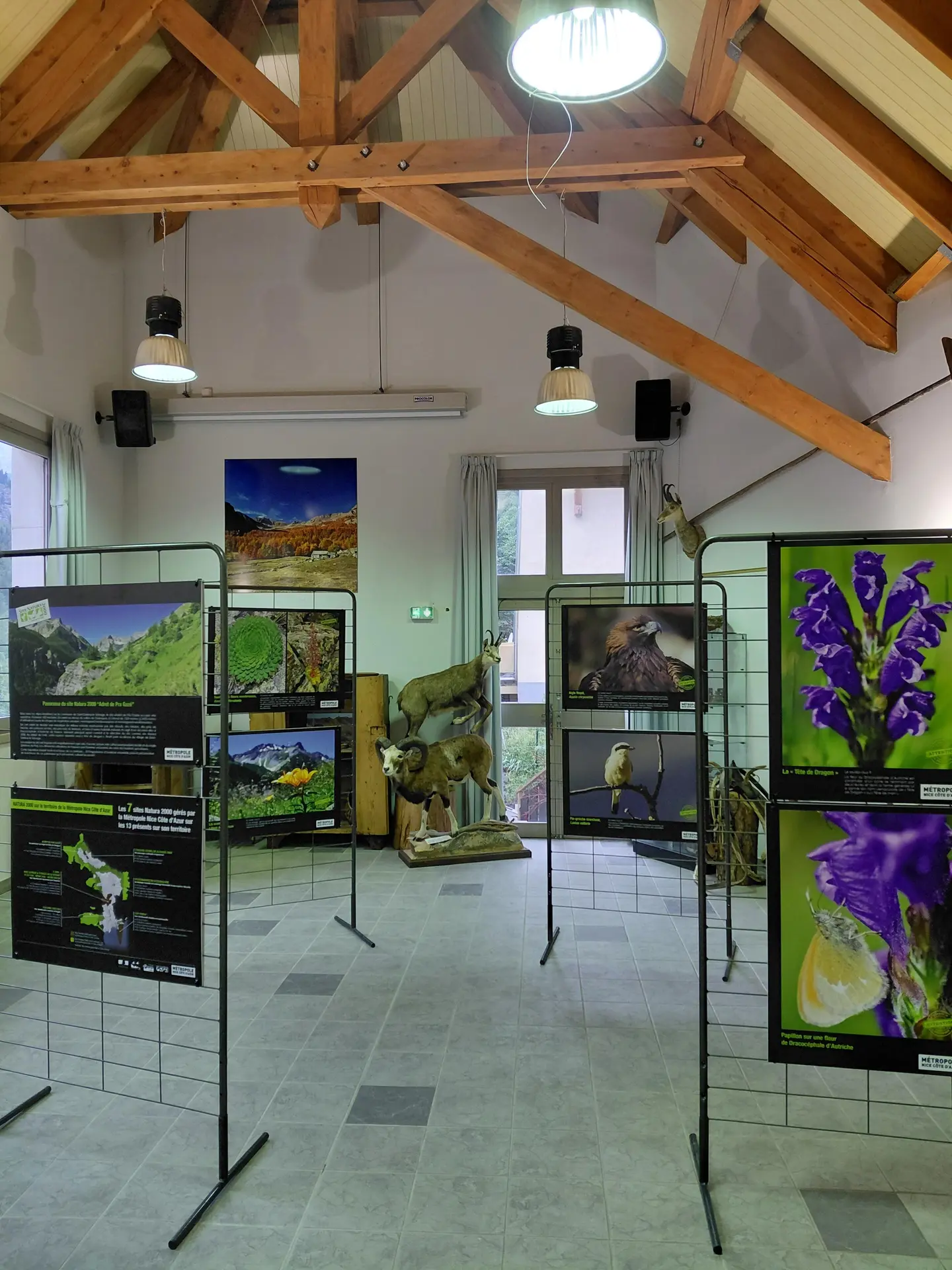 Exposition Natura 2000 en Haute Tinée