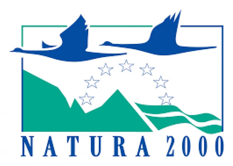 Sortie Natura 2000 : « Le lac d’Isaby »