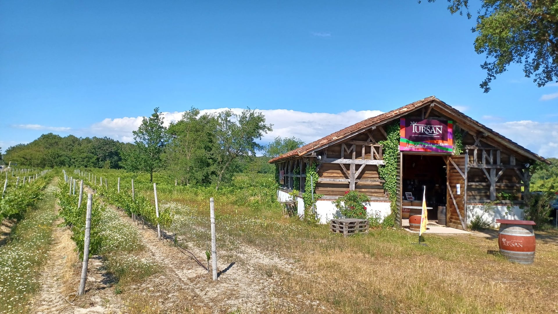 Découverte des vins landais
