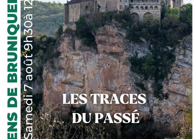 Sortie nature: Un voyage dans le temps
