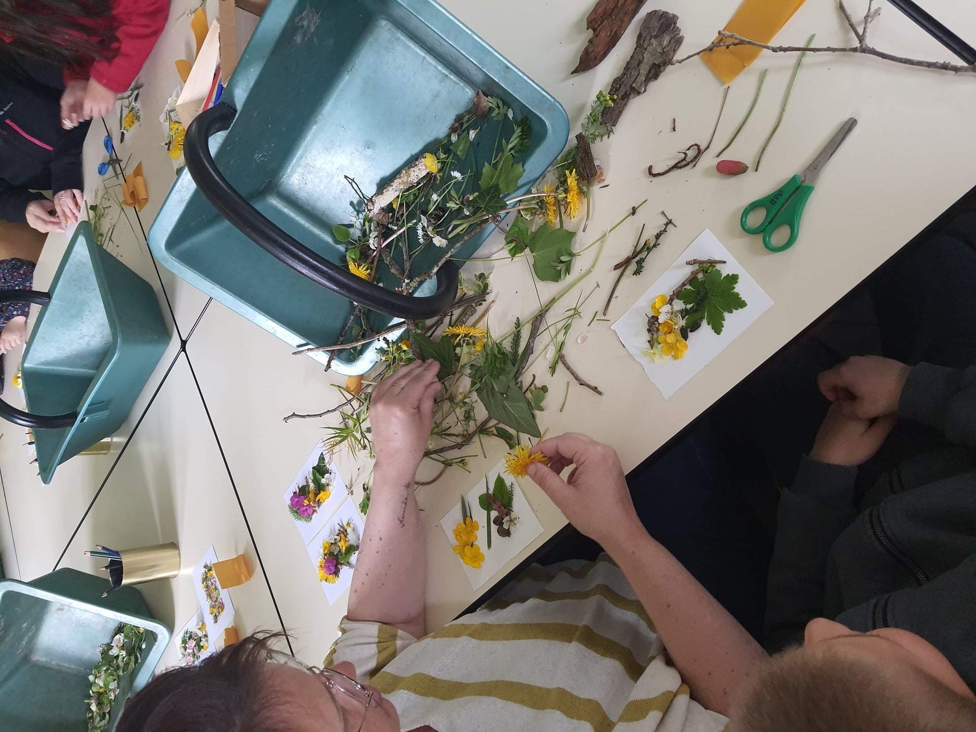 Empreintes végétales