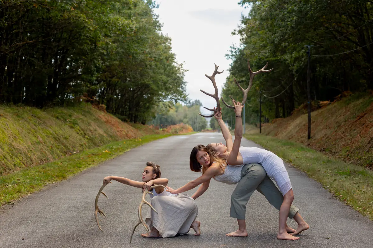 Spectacle Faune