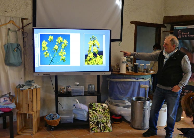 Visites de savoir-faire : « Pastel de la Serre » à Cambounet sur le Sor